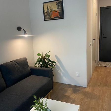 Lovekaunas Apartments エクステリア 写真
